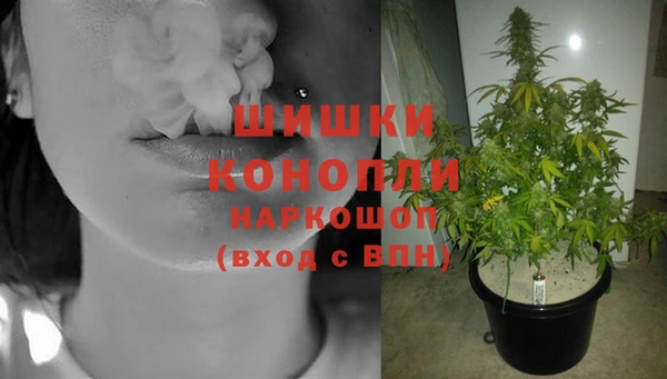 стафф Мегион