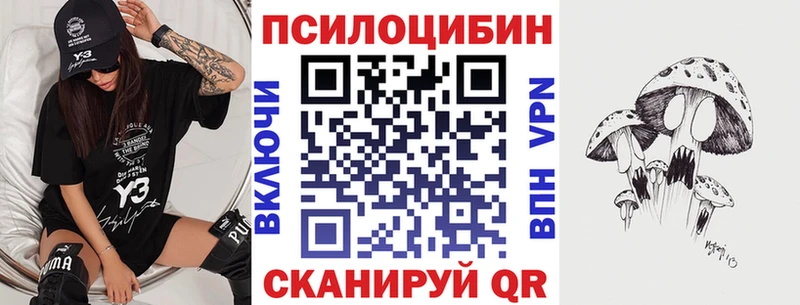 Галлюциногенные грибы Psilocybine cubensis  Купить где  Омутнинск 